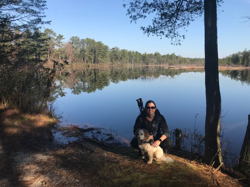 dog friendly beginner hikes in New Jersey