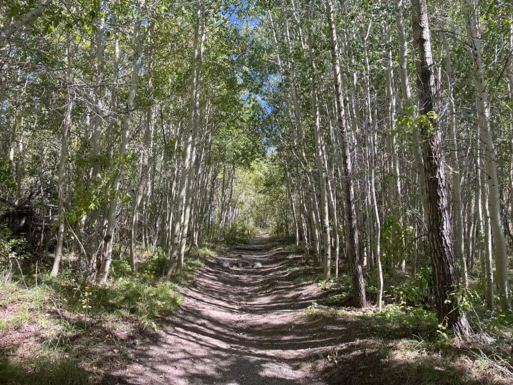 easiest hike in great sand dunes national park