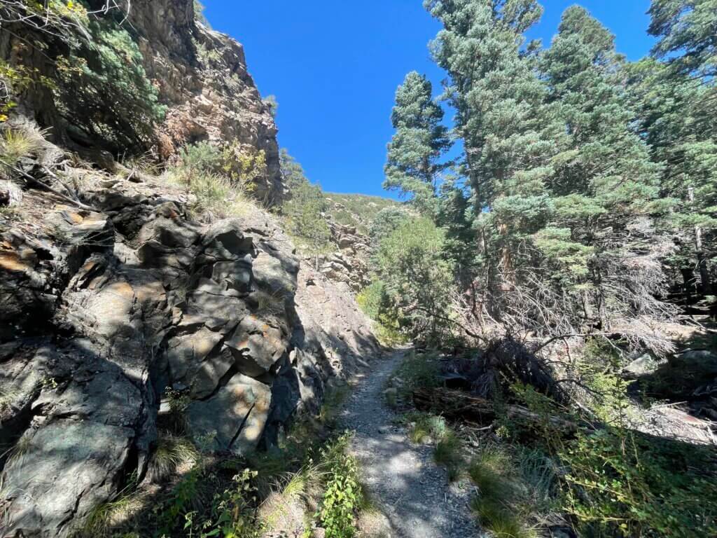 best hiking trails in great sand dunes national park