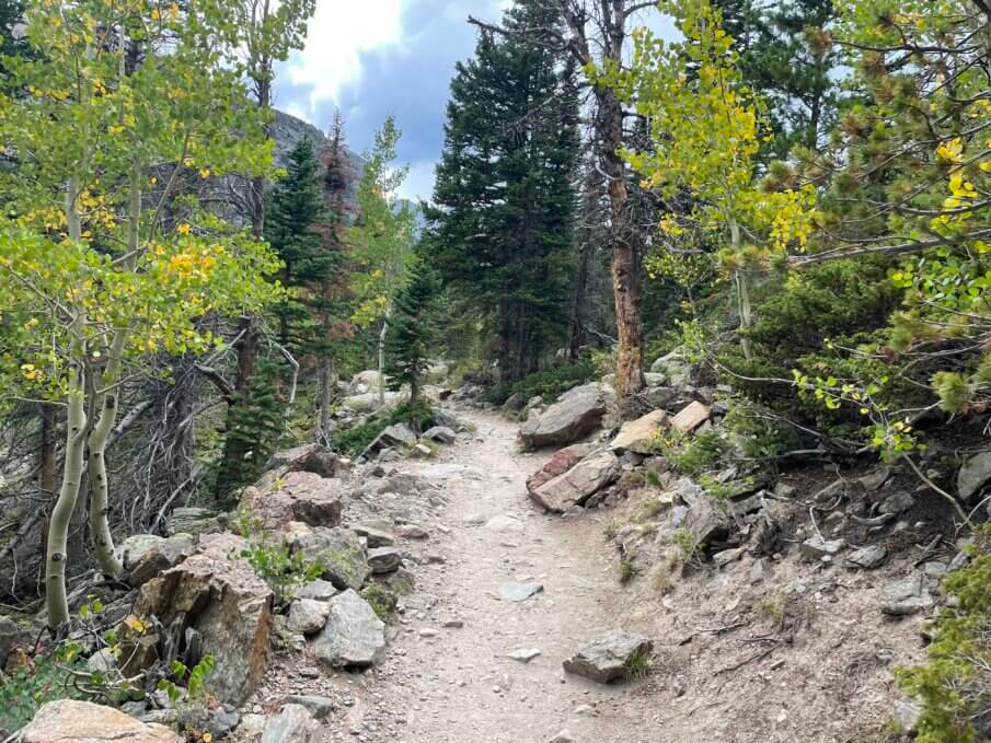 best cabins in Rocky Mountain National Park