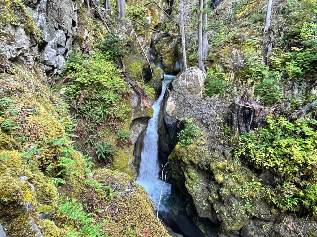 trail of the cedars walk to waterfall