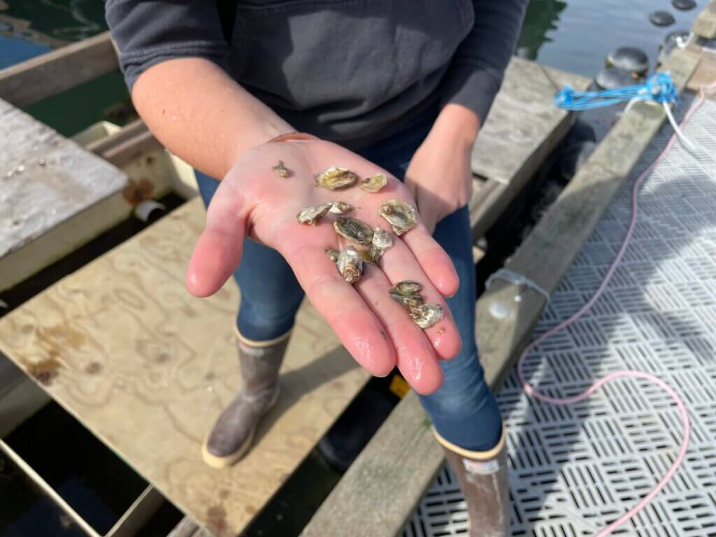 best places to visit on San Juan Island