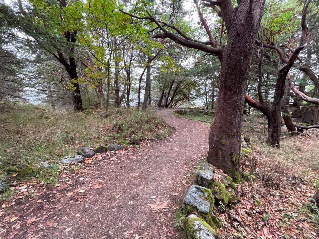 best places to see orcas from the shore on San Juan Island
