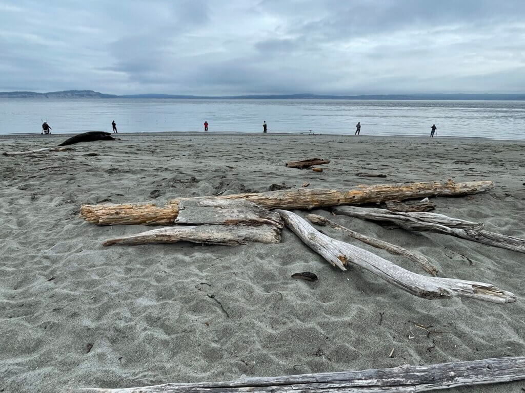 best marine wildlife viewing