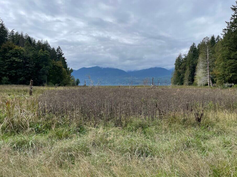things to do in Kitsap county, WA