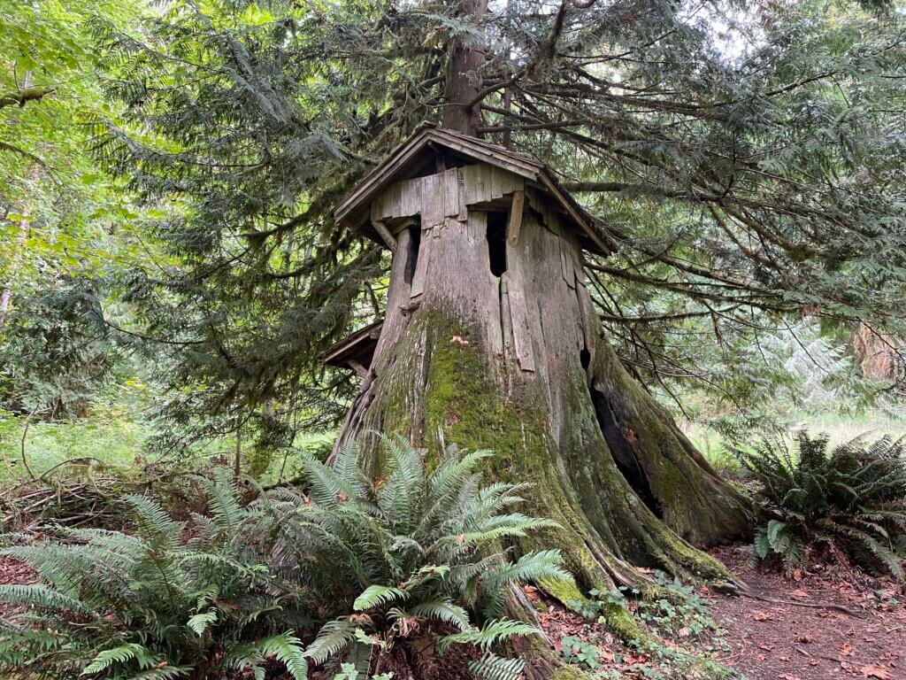 visit the stump house at Guillemot Cove Nature Reserve