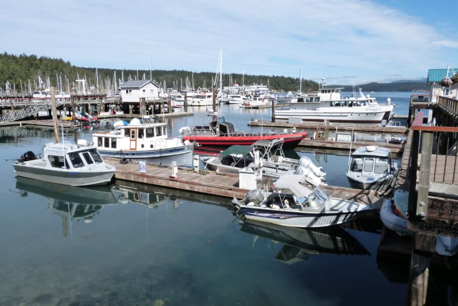 1 day on San Juan Island