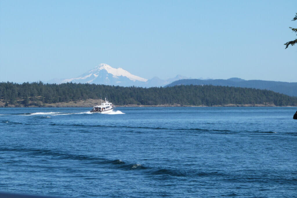 whale watching tour from San Juan Island