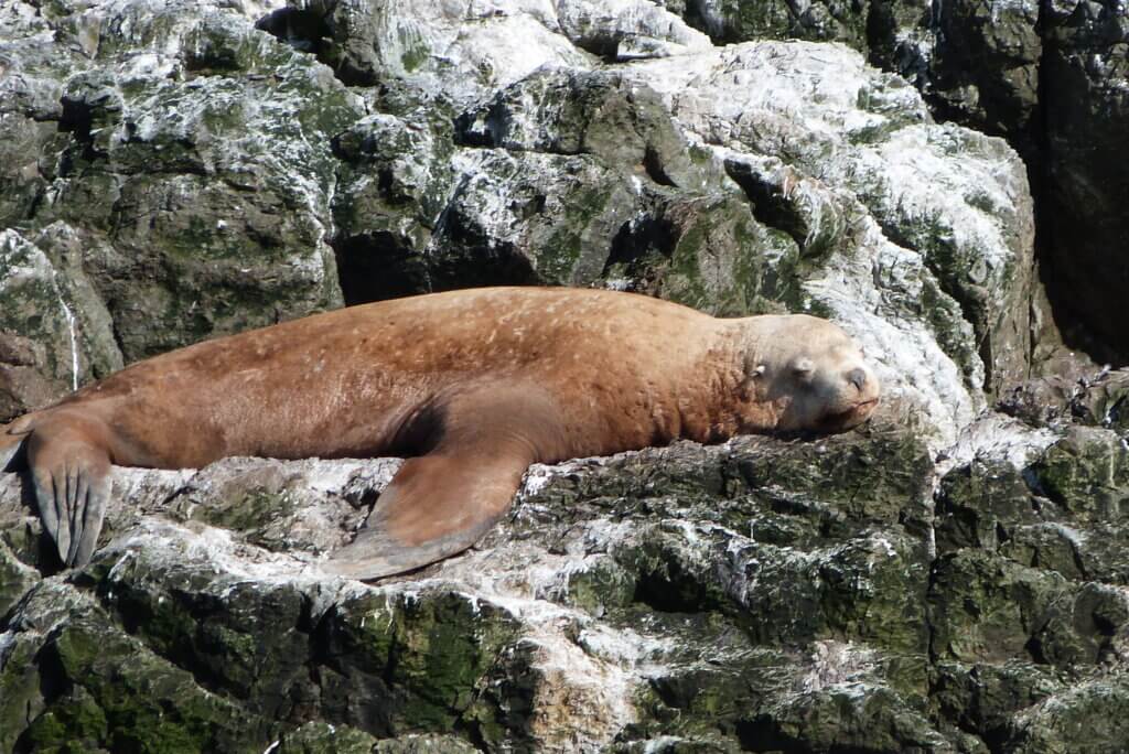 san juan excursions whale watching tour