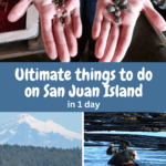top things to do on San Juan island in a day