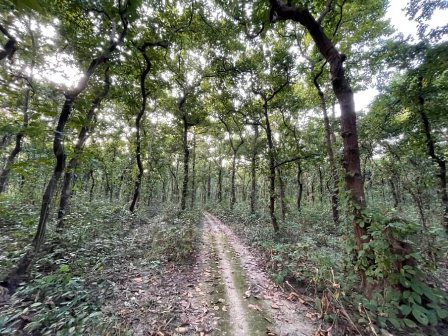 Top things to do in Bangladesh