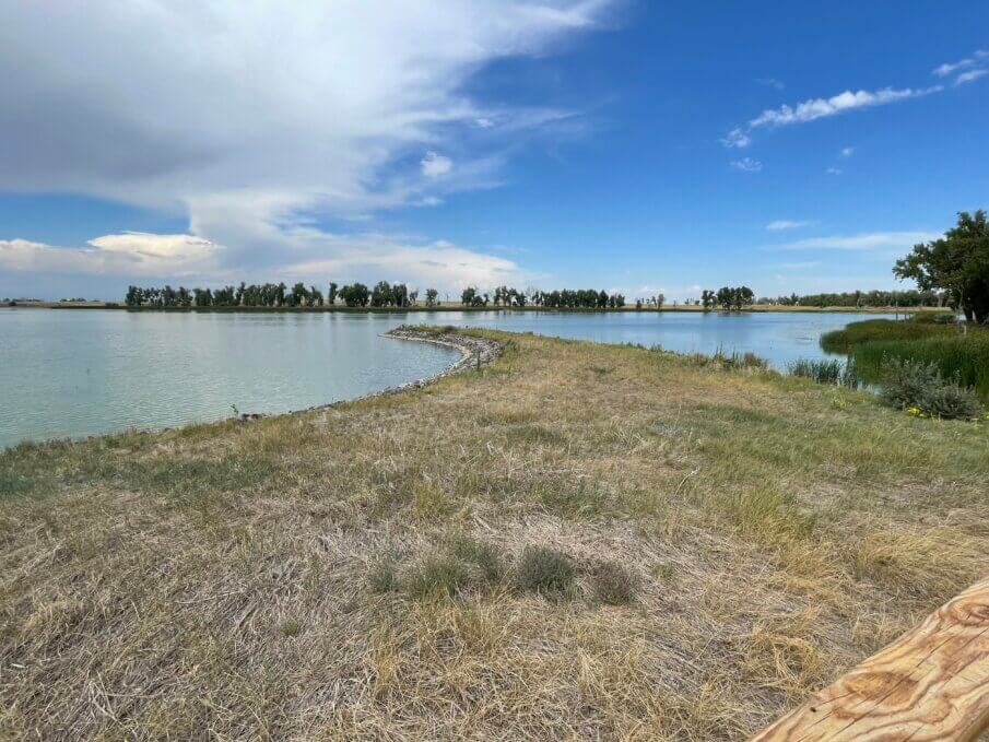 Best things to do in Denver that are sustainable