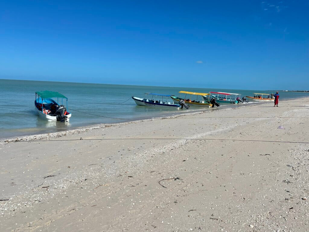 where to see in flamingos in Mexico