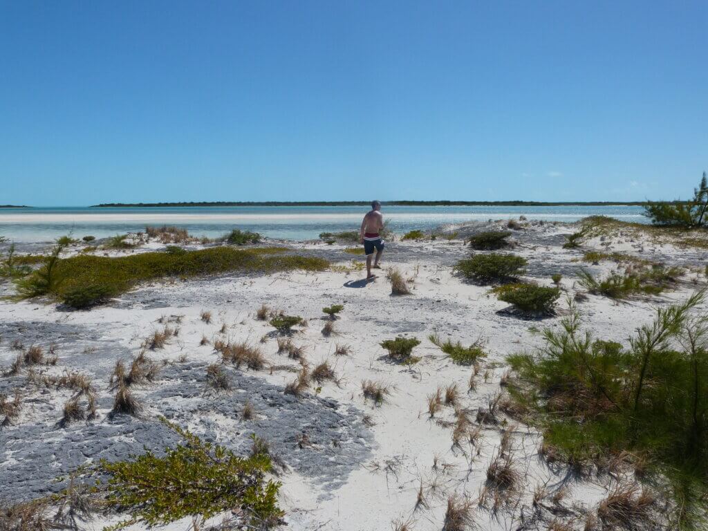 where to get conch salad in Turks and Caicos