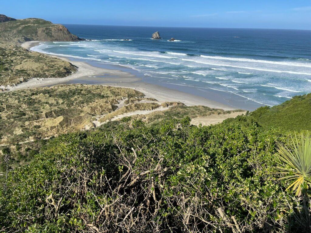 where to see yellow eyed penguins in new zealand