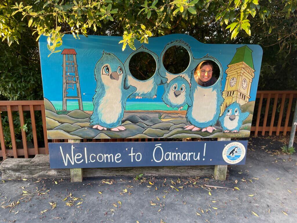 visit the oamaru blue penguin colony