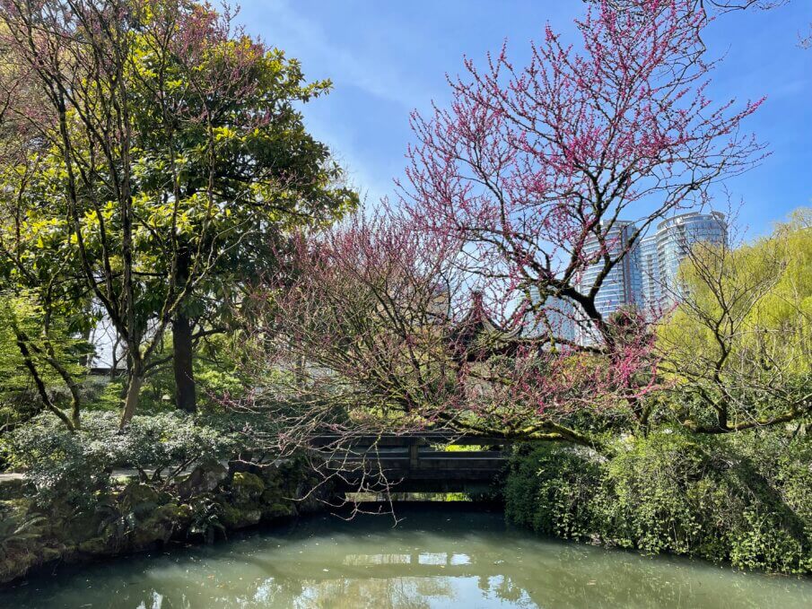 things to do in Vancouver in a day