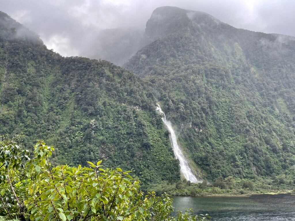 cruise in Doubtful Sound