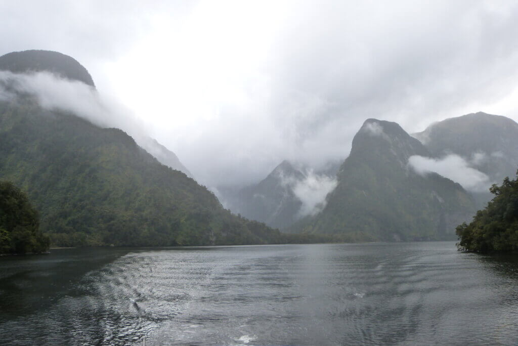 best cruises in New Zealand