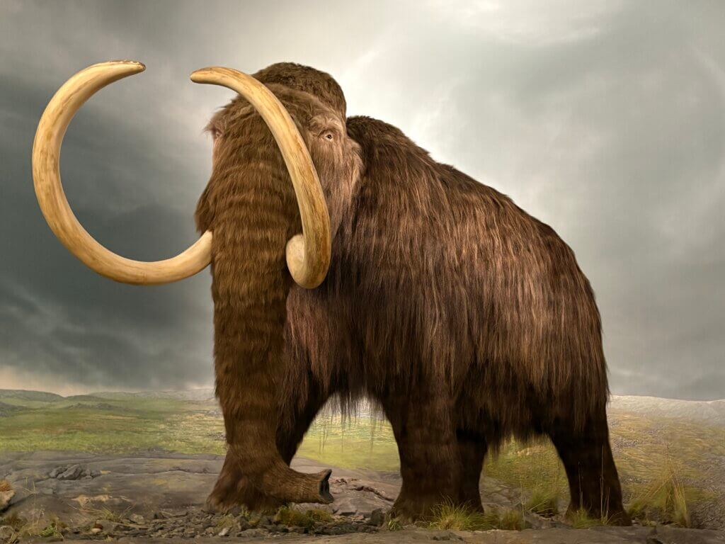 best museum on Vancouver Island