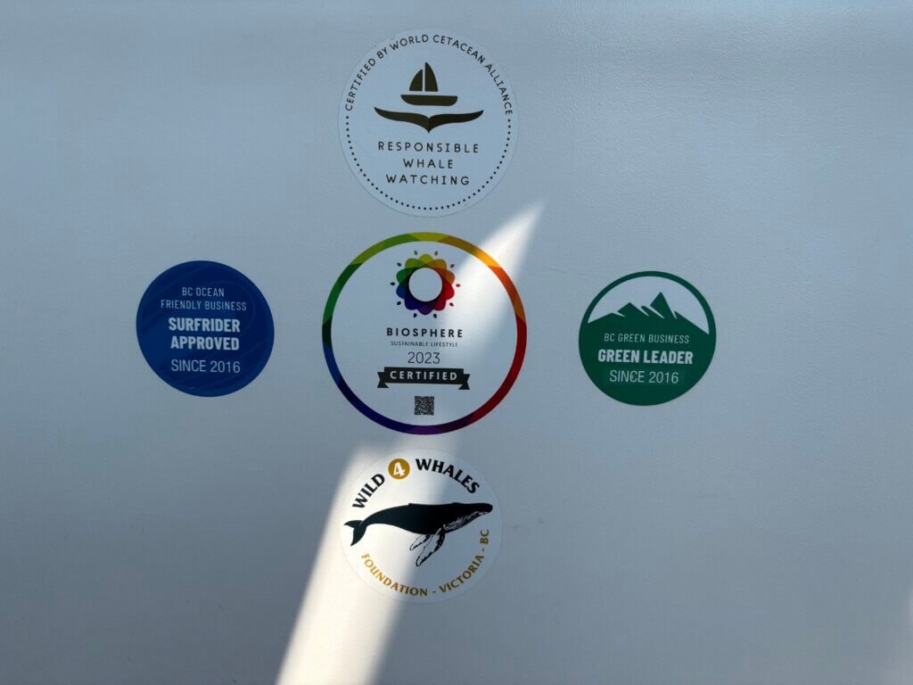 ecofriendly whale watching