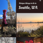 best things to do while in Seattle