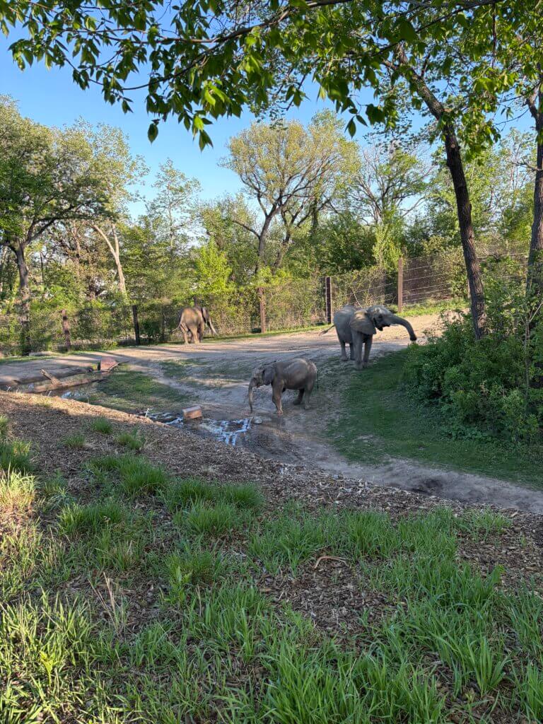 best zoo in America